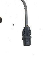 Audi Q7 4L Sonde lambda 0281004148