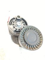 Audi Q5 SQ5 Tendicinghia generatore/alternatore 06E903133