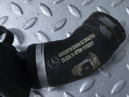 Mercedes-Benz A W177 Manguera/tubo del líquido refrigerante A6082000700