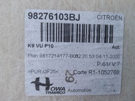 Citroen Berlingo Rivestimento del tetto 98276103BJ