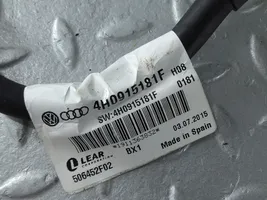 Audi A8 S8 D4 4H Minusinis laidas (akumuliatoriaus) 4H0915181F