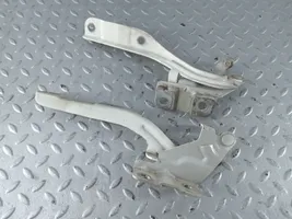 KIA Optima Cerniere del vano motore/cofano 791102T000