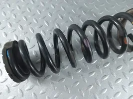 KIA Optima Rear coil spring 