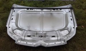 Citroen C5 Dangtis variklio (kapotas) 790867