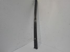 Audi A4 S4 B7 8E 8H Rivestimento della portiera posteriore 8E0867419