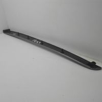 Audi A4 S4 B7 8E 8H Rivestimento della portiera posteriore 8E0867419