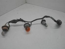 Nissan Navara Element lampy tylnej 