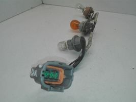 Nissan Navara Element lampy tylnej 