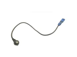 Audi A4 S4 B7 8E 8H Detonācijas sensors 06C905377