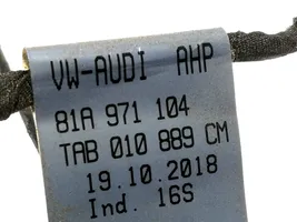 Audi Q2 - Parking sensor (PDC) wiring loom 81A971104