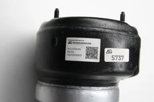 Mercedes-Benz S W221 Ammortizzatore posteriore a sospensione pneumatica A2213205613