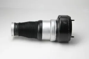 Mercedes-Benz S W221 Front air suspension shock absorber A2213204913