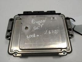 Peugeot 207 Motorsteuergerät/-modul 9663755480