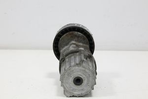 Volkswagen Tiguan Tendicinghia generatore/alternatore 038903315AJ