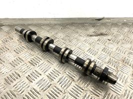 Dodge Journey Camshaft 038103085D