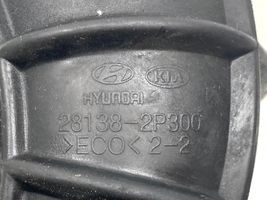 KIA Sorento Tuyau d'admission d'air turbo 281382P300