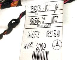 Mercedes-Benz R W251 Wiązka przewodów drzwi przednich 2592305