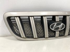 Hyundai Terracan Grille de calandre avant 86251H1060