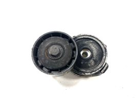 Citroen C-Crosser Tendicinghia generatore/alternatore 16183P