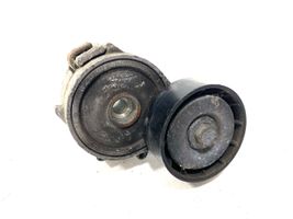 Citroen C-Crosser Tendicinghia generatore/alternatore 16183P