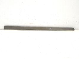 Mercedes-Benz GL X164 Front door trim (molding) A1646905462