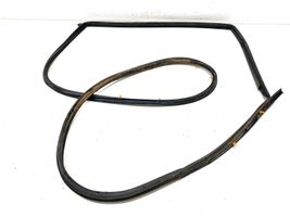 KIA Sorento Rear door rubber seal (on body) 100225