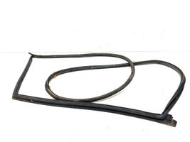 KIA Sorento Rear door rubber seal (on body) 100225