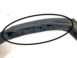 KIA Sorento Rear door rubber seal (on body) 100225
