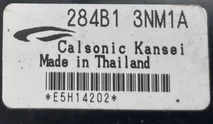 Nissan Leaf I (ZE0) Centralina BSM 284B13NM1A