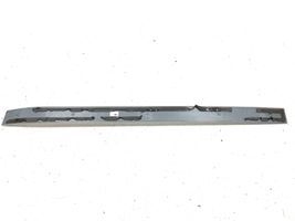 Mercedes-Benz S W221 Other sill/pillar trim element A2216800335