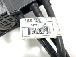 KIA Ceed Cavo positivo (batteria) 91850A2080