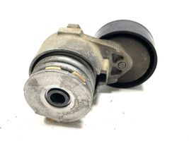 Renault Megane III Napinacz paska alternatora 8200861569