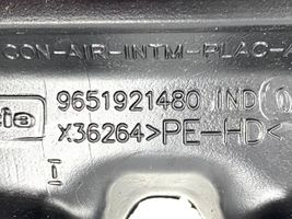 Peugeot 207 Lüftungsdüse Lüftungsgitter 9651921480