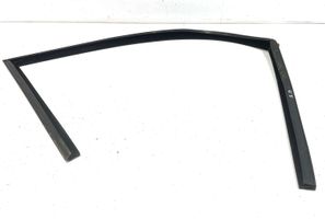 BMW 5 E60 E61 Rubber seal front door window/glass 