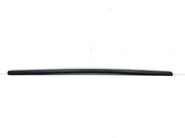 Honda Civic Rear door trim (molding) 