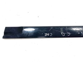 Mitsubishi Lancer Rear door trim (molding) MN19010316