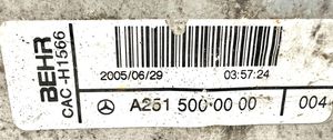 Mercedes-Benz ML W164 Chłodnica powietrza doładowującego / Intercooler A2515000000