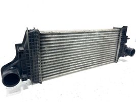 Mercedes-Benz R AMG W251 Radiatore intercooler 