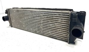 Mercedes-Benz Sprinter W906 Chłodnica powietrza doładowującego / Intercooler A9065010101