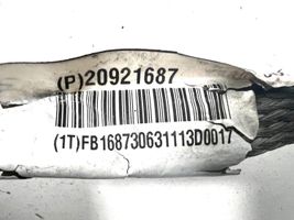 Chevrolet Volt I Cable negativo de tierra (batería) 20921687