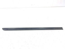 Toyota Camry Rivestimento portiera posteriore (modanatura) 75742AA060