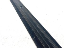 Mercedes-Benz B W245 Front door glass trim molding A1697200224