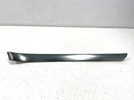 Audi A4 S4 B7 8E 8H Front door trim bar 8E0867410