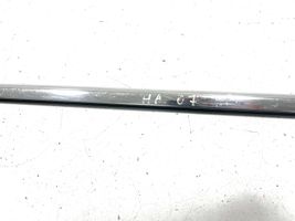 Honda Accord Front door glass trim molding 