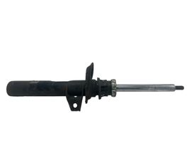 Volkswagen Eos Ammortizzatore anteriore 1T0413031DS