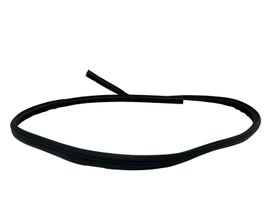 Ford C-MAX II Rear door rubber seal (on body) 