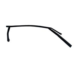 Ford C-MAX II Rubber seal front door window/glass AM51U21510