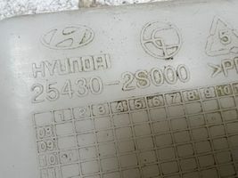 Hyundai ix35 Aušinimo skysčio išsiplėtimo bakelis 254302S000