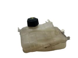 Renault Megane III Vase d'expansion / réservoir de liquide de refroidissement 217100005R