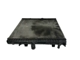 Citroen DS5 Coolant radiator 9671910480